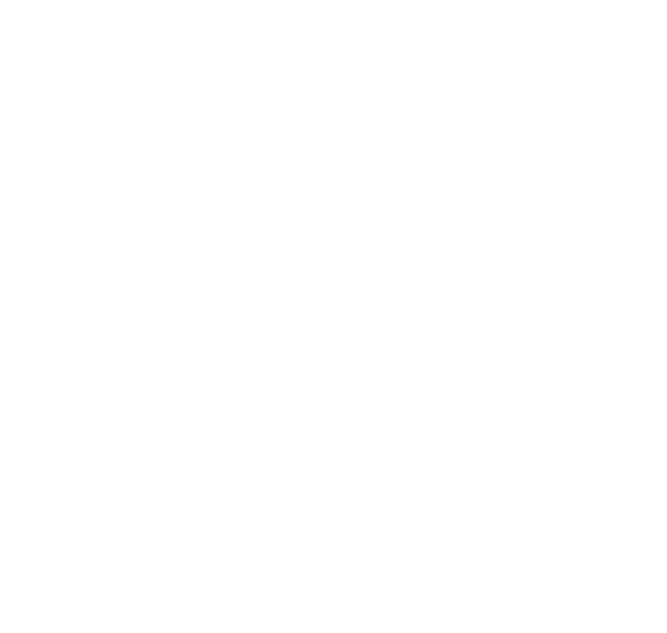 Bray & Holyport Scout Group